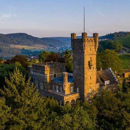Willa Saar Castle - cozy Mansion near vineyard Serrig Zewnętrze zdjęcie