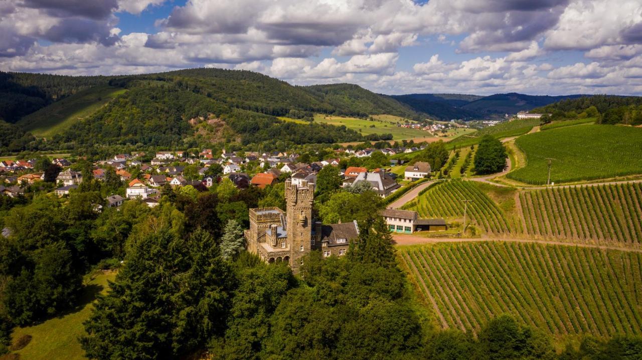 Willa Saar Castle - cozy Mansion near vineyard Serrig Zewnętrze zdjęcie