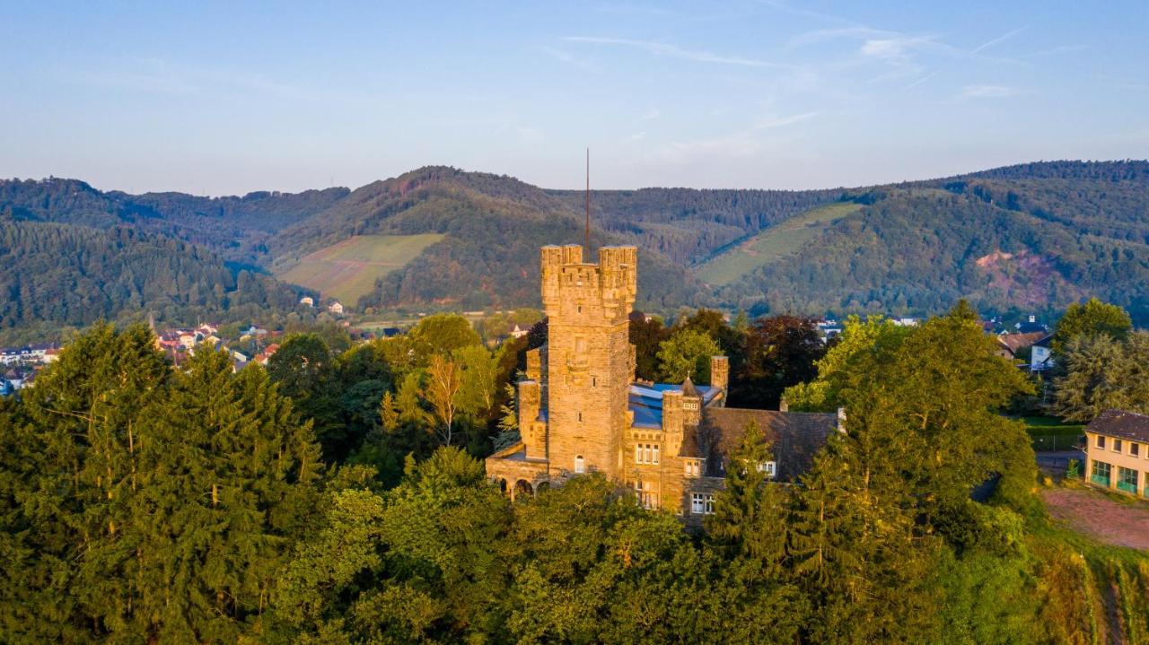 Willa Saar Castle - cozy Mansion near vineyard Serrig Zewnętrze zdjęcie