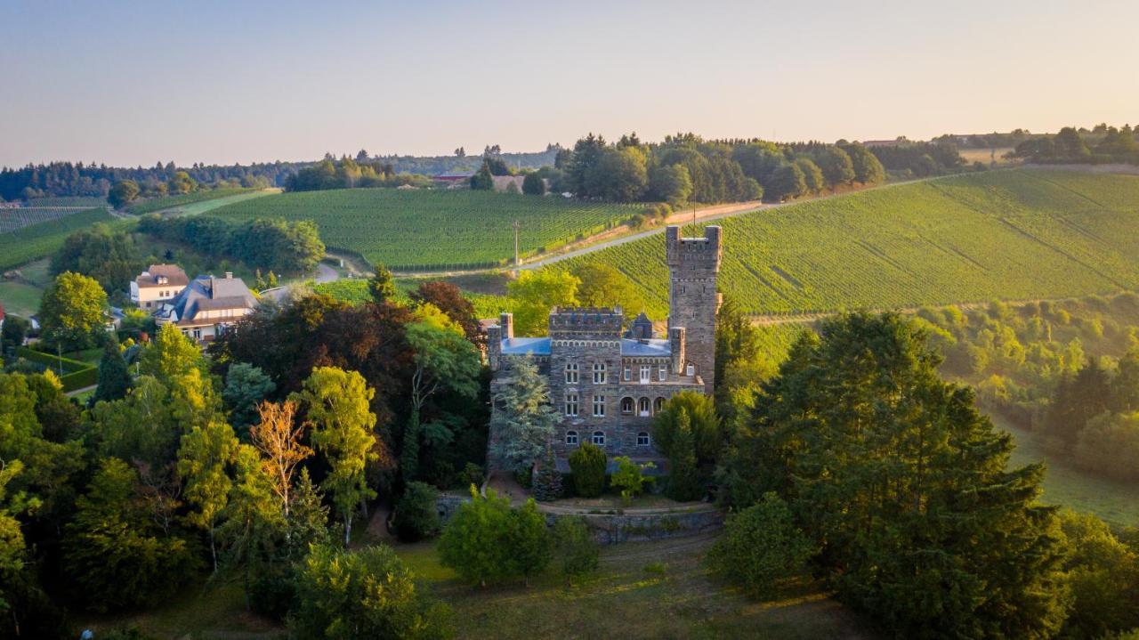 Willa Saar Castle - cozy Mansion near vineyard Serrig Zewnętrze zdjęcie