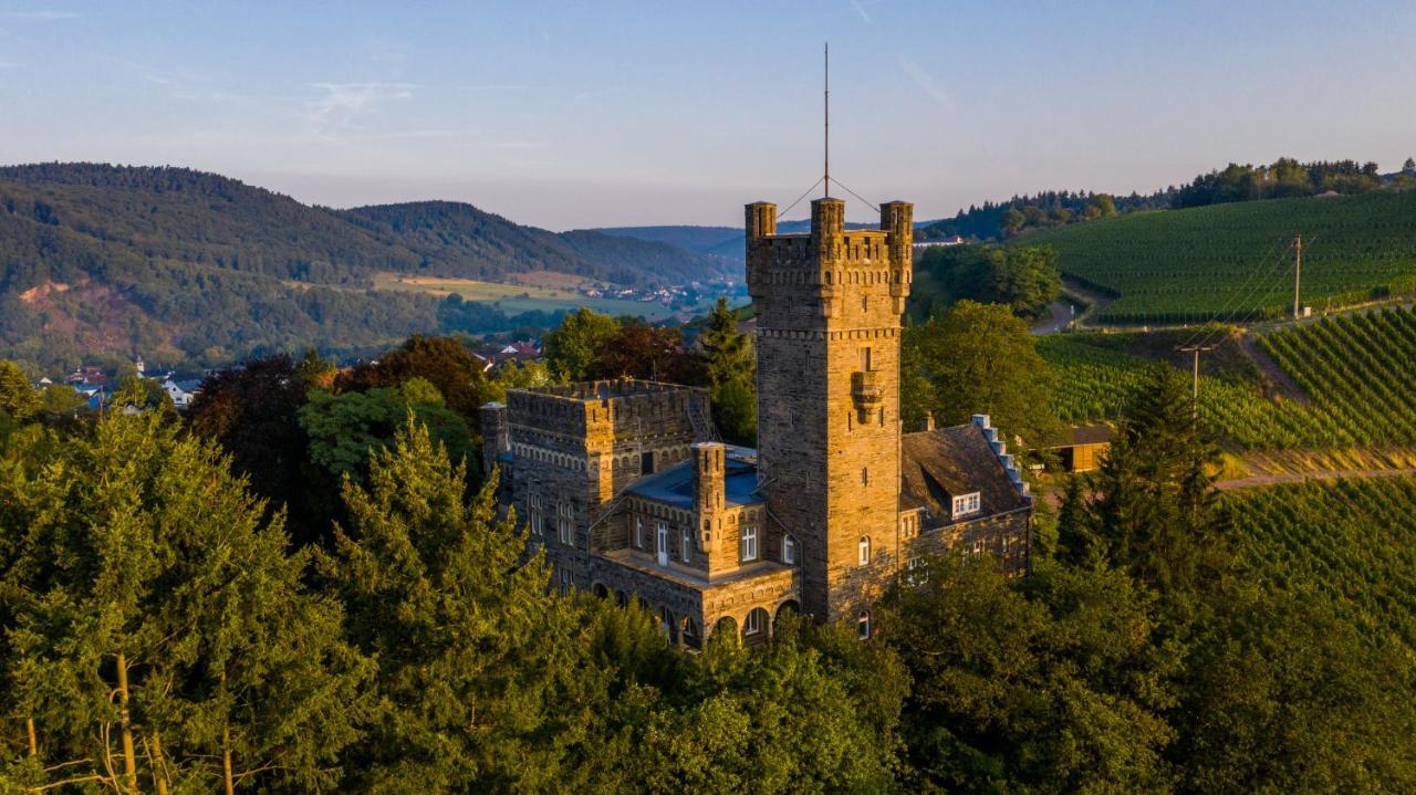 Willa Saar Castle - cozy Mansion near vineyard Serrig Zewnętrze zdjęcie