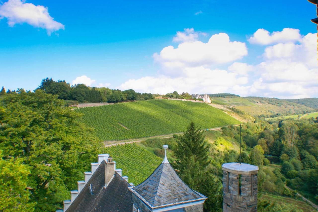 Willa Saar Castle - cozy Mansion near vineyard Serrig Zewnętrze zdjęcie