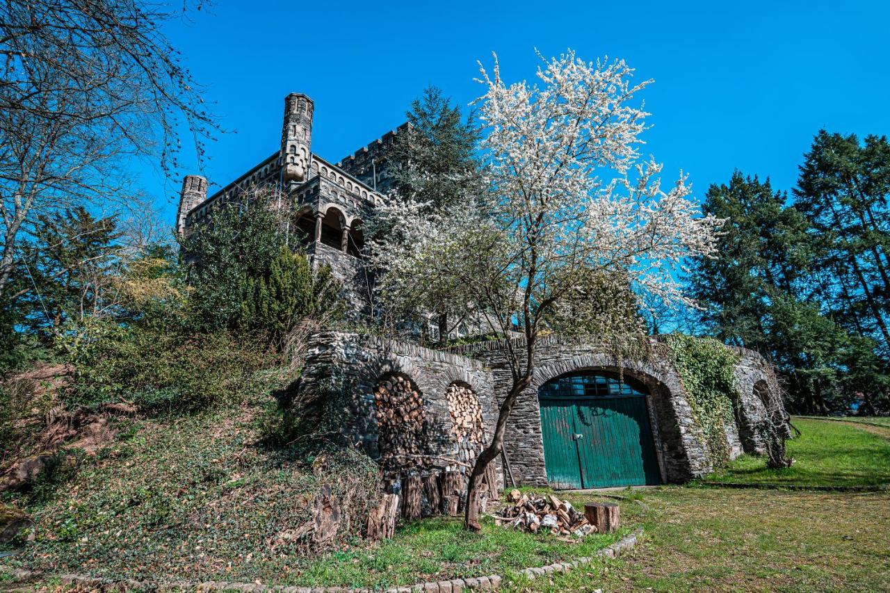 Willa Saar Castle - cozy Mansion near vineyard Serrig Zewnętrze zdjęcie
