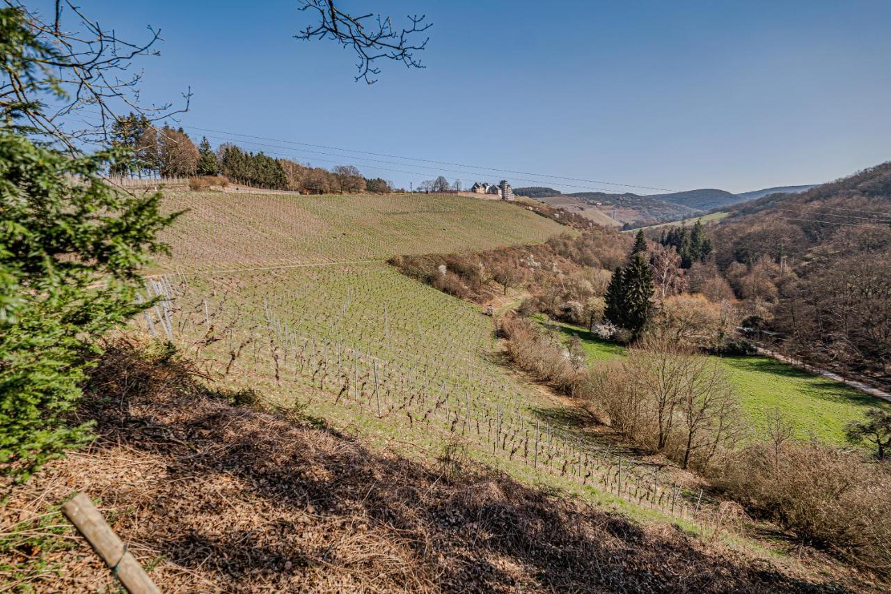 Willa Saar Castle - cozy Mansion near vineyard Serrig Zewnętrze zdjęcie