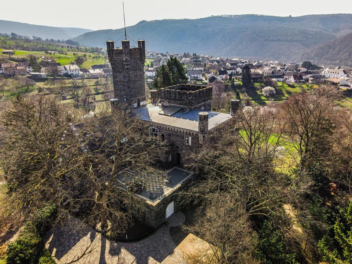 Willa Saar Castle - cozy Mansion near vineyard Serrig Zewnętrze zdjęcie